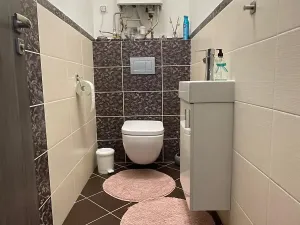 Prodej bytu 3+kk, Jihlava, Dělnická, 76 m2