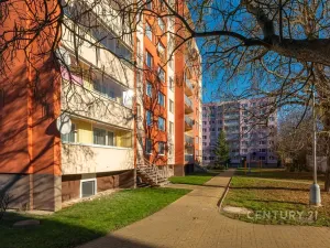 Prodej bytu 3+1, Podbořany, Kpt. Nálepky, 60 m2