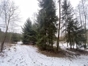 Prodej pozemku, Veliny, 1630 m2