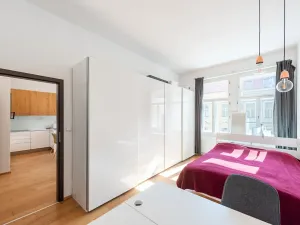 Prodej bytu 2+kk, Praha - Nové Město, Trojická, 62 m2