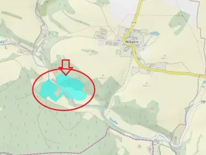 Prodej podílu lesa, Vacov, 23843 m2