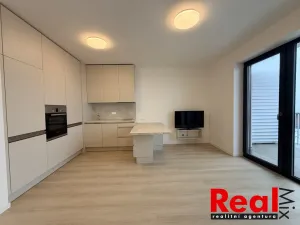 Pronájem bytu 1+kk, Mokrá-Horákov - Mokrá, 30 m2