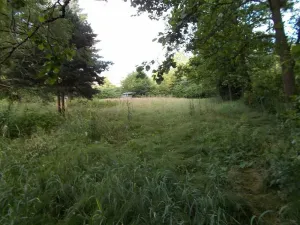 Prodej louky, Velký Šenov, 3266 m2