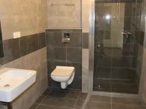 Pronájem bytu 2+kk, České Budějovice - České Budějovice 2, Plukovníka Malého, 51 m2