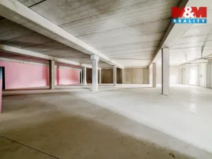 Pronájem výrobních prostor, Cheb, Karlova, 2200 m2