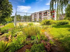 Prodej bytu 2+kk, České Budějovice - České Budějovice 2, Husova tř., 50 m2