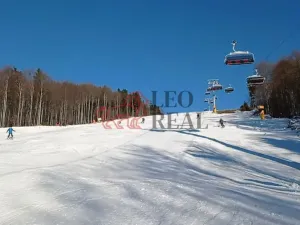 Prodej bytu 2+kk, Strážný, 33 m2