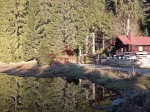 Prodej bytu 2+kk, Strážný, 33 m2