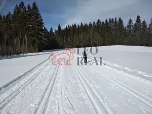 Prodej bytu 2+kk, Kvilda, 33 m2