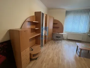 Pronájem bytu 1+1, Plzeň, Zámečnická, 45 m2