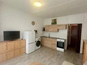 Prodej bytu 1+kk, Cheb, Do Zátiší, 20 m2