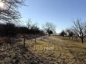 Prodej pozemku, Ostrožská Nová Ves, 982 m2