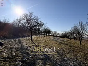 Prodej pozemku, Ostrožská Nová Ves, 982 m2