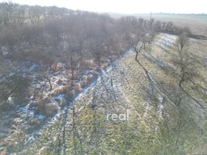 Prodej pozemku, Ostrožská Nová Ves, 982 m2