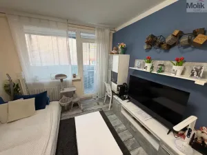 Prodej bytu 2+kk, Most, K. J. Erbena, 43 m2