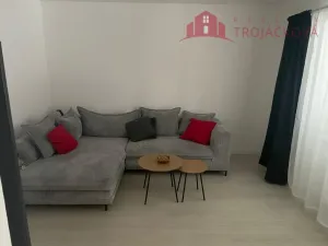 Pronájem bytu 1+1, Kozlovice, 50 m2