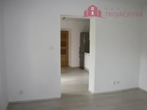 Pronájem bytu 1+1, Kozlovice, 50 m2