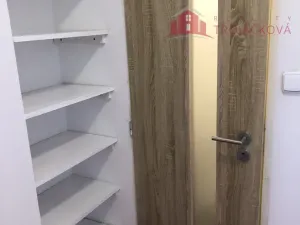 Pronájem bytu 1+1, Kozlovice, 50 m2