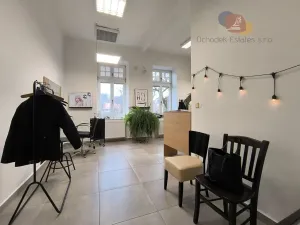 Prodej vícegeneračního domu, Polná, Žižkova, 258 m2