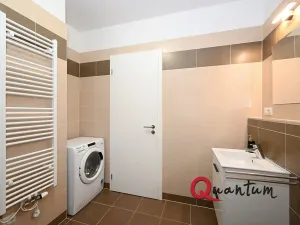 Pronájem bytu 1+kk, Praha - Žižkov, Olgy Havlové, 38 m2