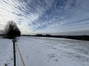 Prodej louky, Bruzovice, 94427 m2