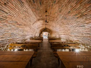 Prodej vinného sklepa, Domanín, 150 m2