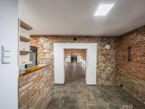 Prodej vinného sklepa, Domanín, 150 m2