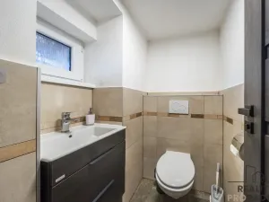 Prodej vinného sklepa, Domanín, 150 m2