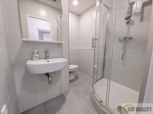 Pronájem bytu 1+1, Prostějov, Libušinka, 33 m2