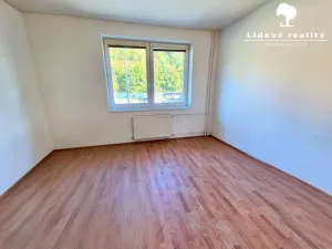 Prodej obchodního prostoru, Frýdek-Místek, Míru, 384 m2