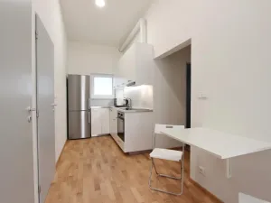 Pronájem bytu 1+kk, Brno - Zábrdovice, Cejl, 10 m2