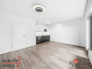 Pronájem bytu 1+kk, Plzeň - Jižní Předměstí, Železná, 43 m2