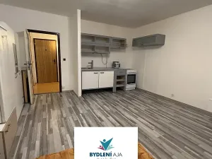 Pronájem bytu 1+kk, Teplice, Krušnohorská, 32 m2