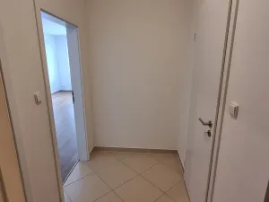 Pronájem bytu 2+kk, Praha, Kryšpínova, 59 m2