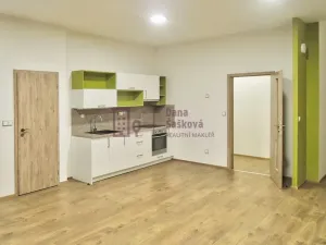Pronájem bytu 2+kk, Jindřichův Hradec, Panská, 62 m2