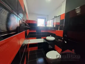 Pronájem bytu 1+1, Opava - Předměstí, Těšínská, 38 m2