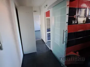 Pronájem bytu 1+1, Opava - Předměstí, Těšínská, 38 m2