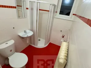 Pronájem bytu 1+kk, Praha - Smíchov, K vodojemu, 26 m2