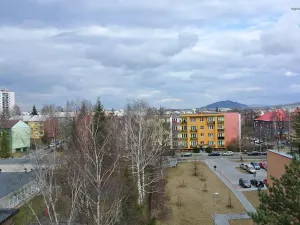 Pronájem bytu 1+1, Nový Jičín, Gregorova, 38 m2