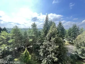 Pronájem pokoje, Brno, Arménská, 18 m2