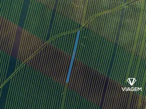 Prodej pole, Šumice, 2107 m2