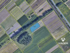 Prodej pole, Podivín, 4035 m2