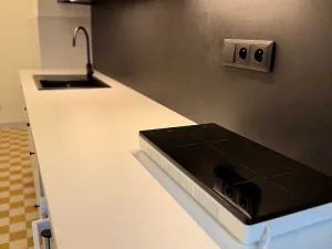 Pronájem bytu 1+1, Brno - Veveří, Mášova, 53 m2