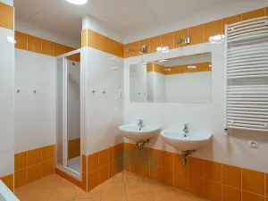 Pronájem bytu 3+kk, Praha - Vinohrady, Korunní, 106 m2