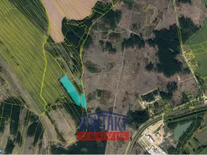 Prodej lesa, Žirovnice, 11124 m2