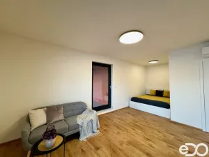 Pronájem bytu 1+kk, Praha, Basilejské náměstí, 43 m2