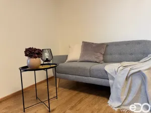 Pronájem bytu 1+kk, Praha, Basilejské náměstí, 43 m2