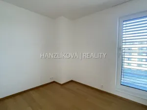 Pronájem bytu 4+kk, České Budějovice - České Budějovice 2, Branišovská, 103 m2