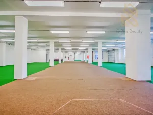 Pronájem obchodního prostoru, Polepy, 1200 m2