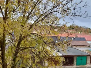 Pronájem bytu 2+kk, Bílina, Tylova, 40 m2